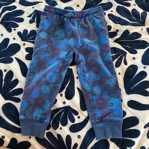 Tea Collection blueberry joggers